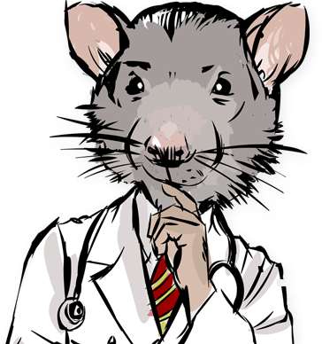 Dr Mouse
